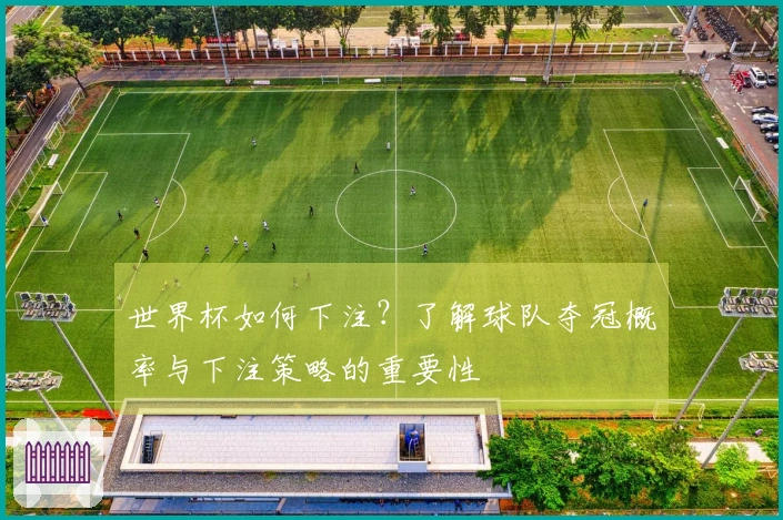 世界杯如何下注?了解球队夺冠概率与下注策略的重要性