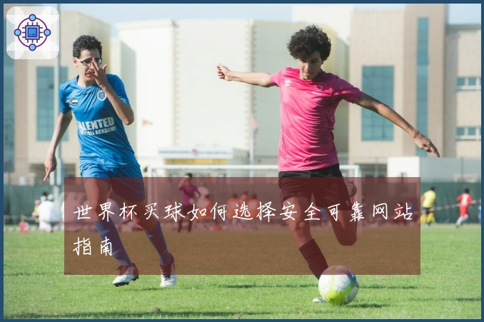 世界杯买球如何选择安全可靠网站指南