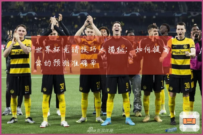 世界杯竞猜技巧大揭秘：如何提高你的预测准确率