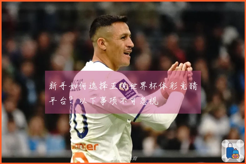 新手如何选择正规世界杯体彩竞猜平台？以下事项不可忽视
