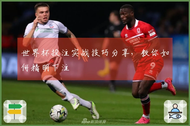 世界杯投注实战技巧分享，教你如何精明下注