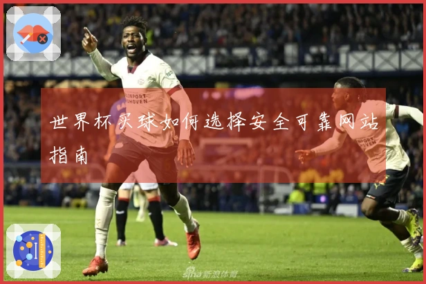 世界杯买球如何选择安全可靠网站指南