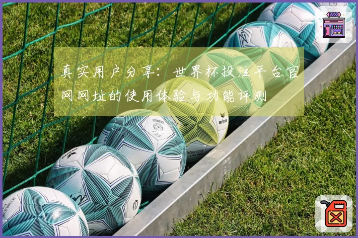 真实用户分享：世界杯投注平台官网网址的使用体验与功能评测