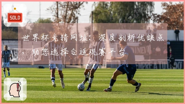 世界杯竞猜网址：深度剖析优缺点，助您选择合适观赛平台