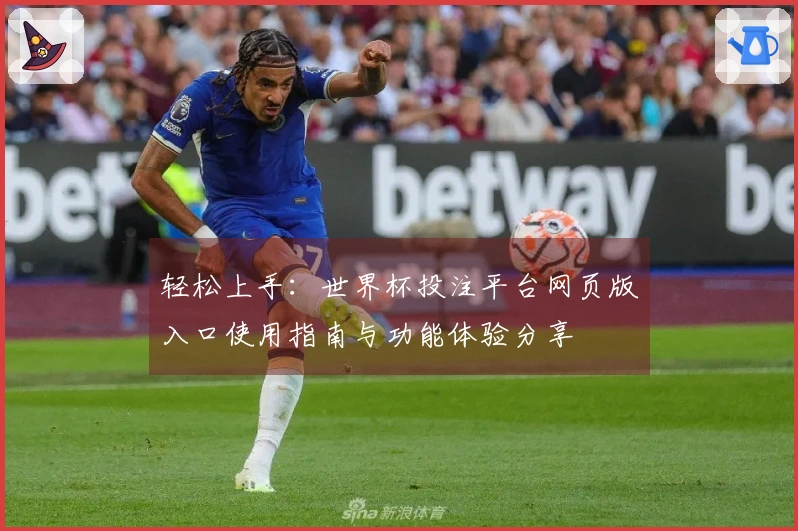 轻松上手：世界杯投注平台网页版入口使用指南与功能体验分享