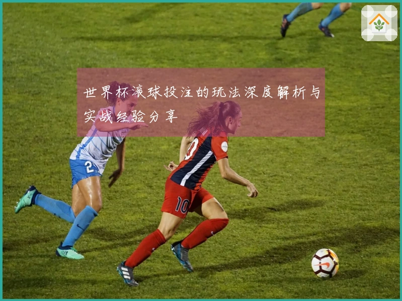 世界杯滚球投注的玩法深度解析与实战经验分享