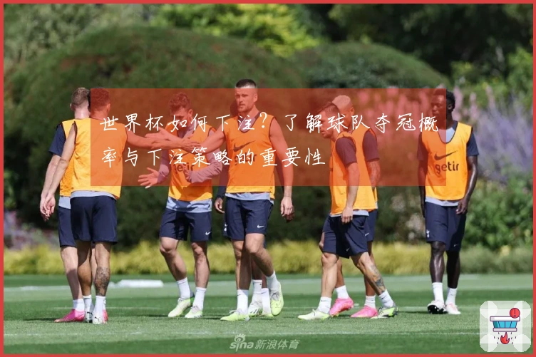 世界杯如何下注？了解球队夺冠概率与下注策略的重要性