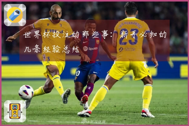 世界杯投注的那些事：新手必知的几条经验总结