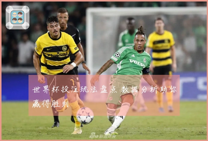世界杯投注玩法盘点 数据分析助你赢得胜利