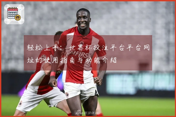 轻松上手：世界杯投注平台平台网址的使用指南与功能介绍